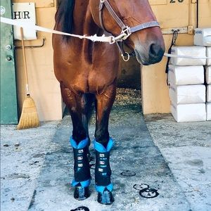 Premier Equine Magnetic Wraps